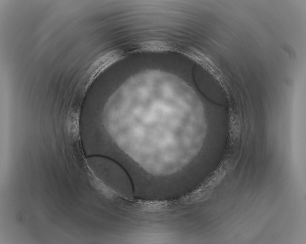 X0000115110889200911101603