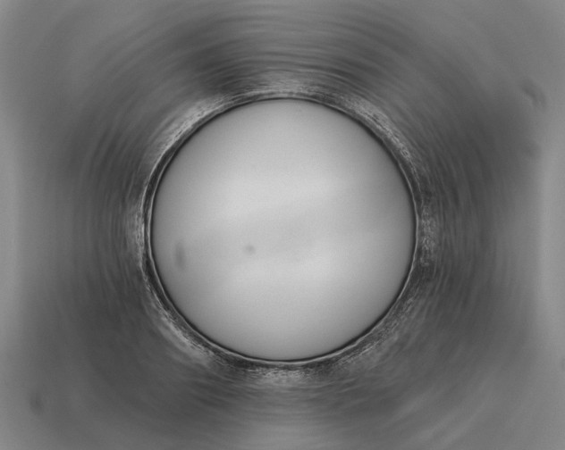 X0000115110890200911101603
