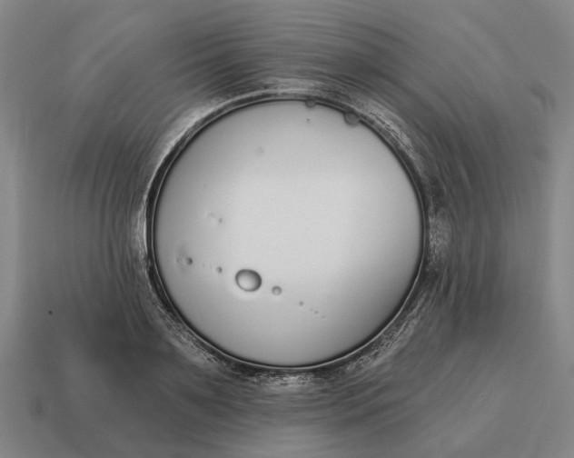 X0000115110891200911101603
