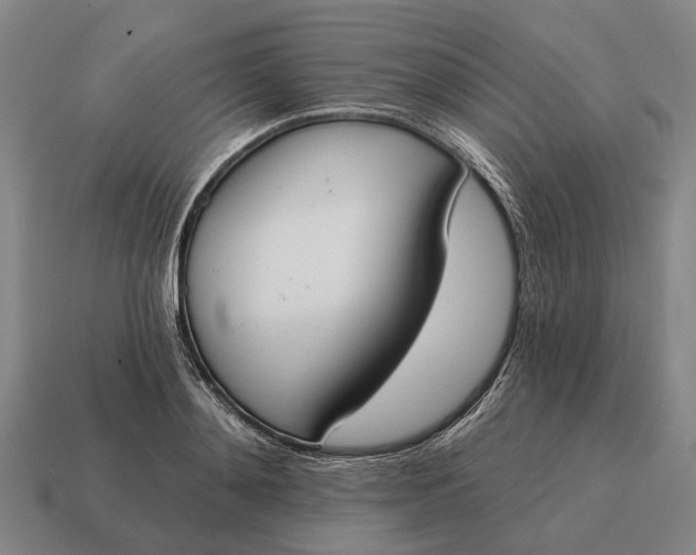 X0000115110892200911101603