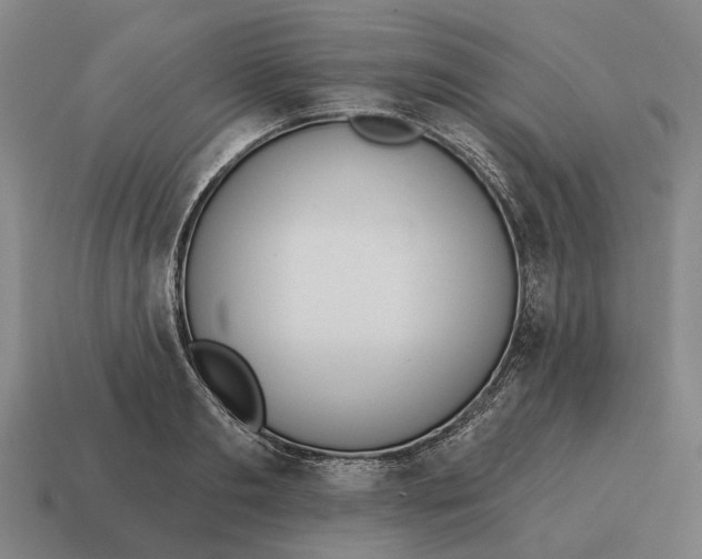 X0000115110893200911101603