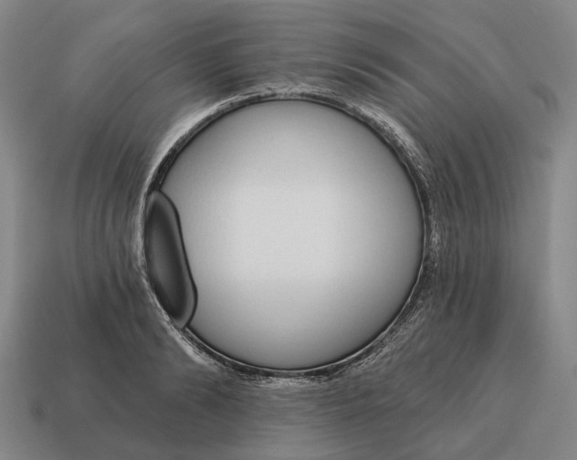 X0000115110894200911101603