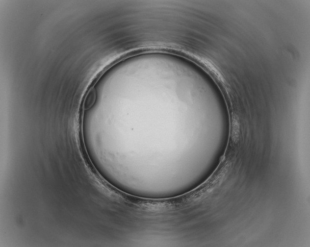 X0000115110895200911101603