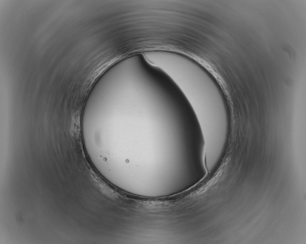 X0000115110897200911101603