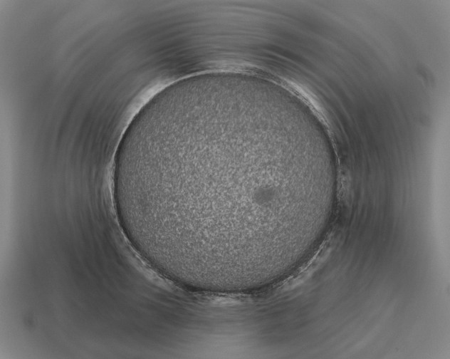 X0000115110899200911101603