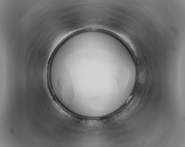 X0000115110903200911101603