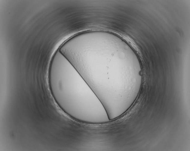 X0000115110904200911101603