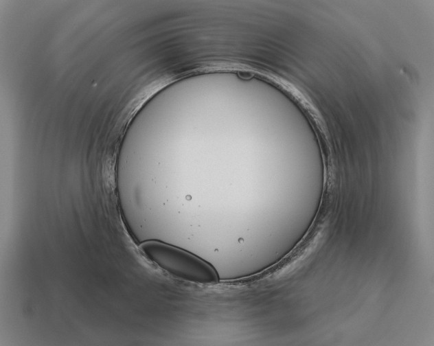 X0000115110905200911101603