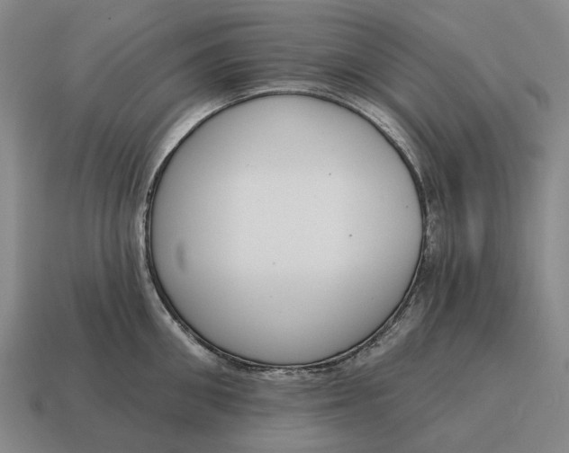 X0000115110906200911101603