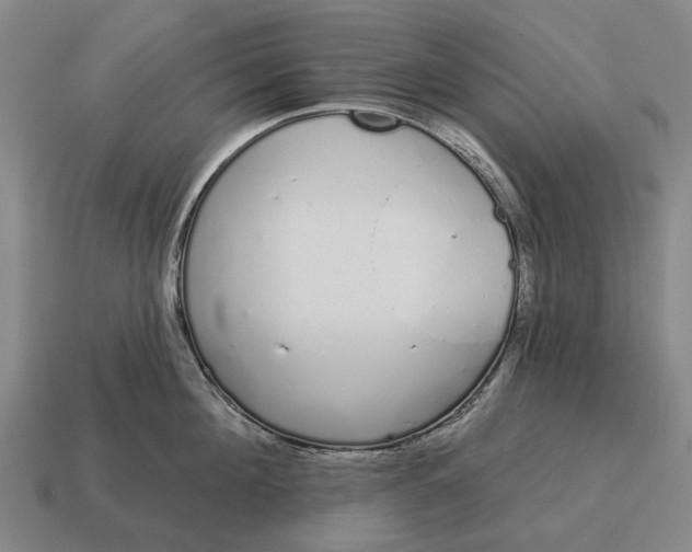X0000115110908200911101603