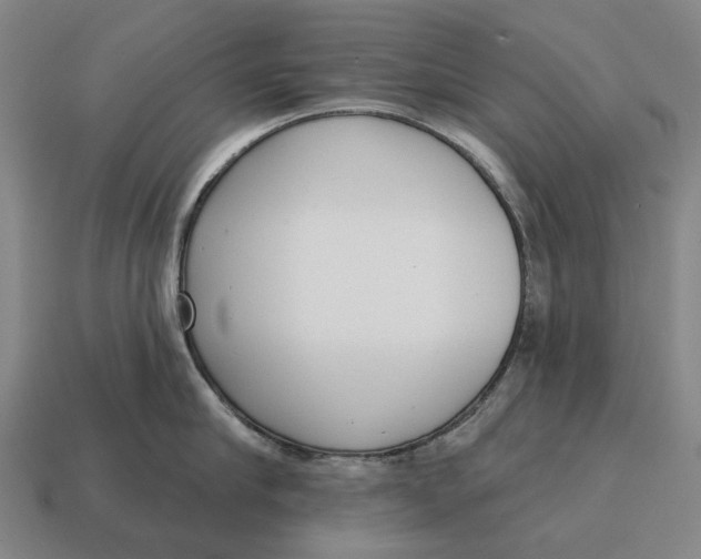 X0000115110910200911101603