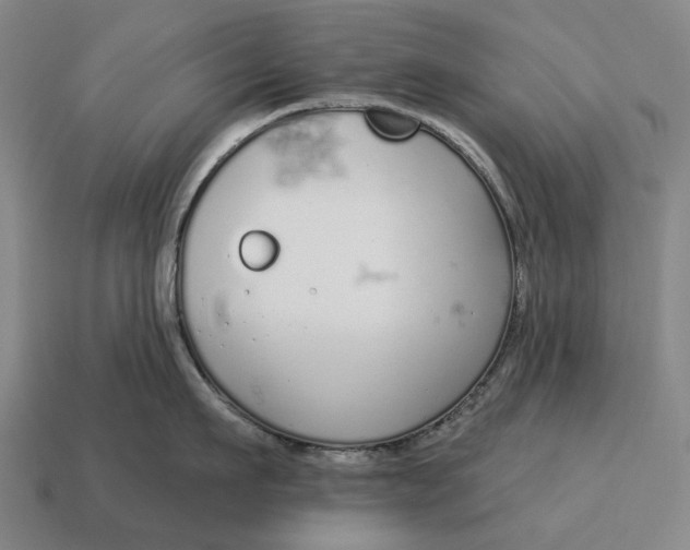 X0000115110911200911101603