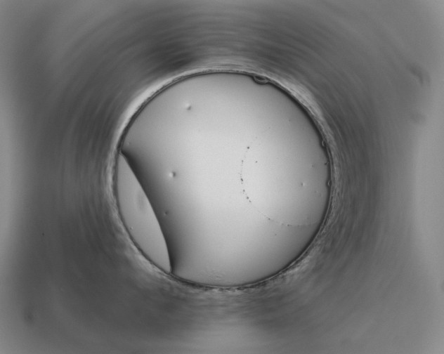 X0000115110912200911101603