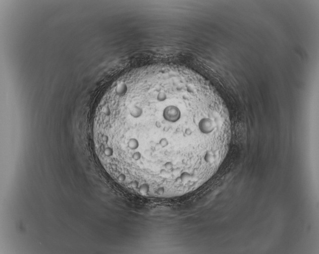 X0000115110913200911101602