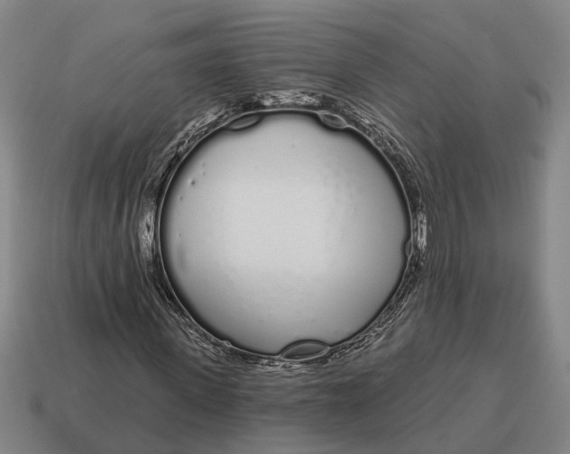 X0000115110915200911101602