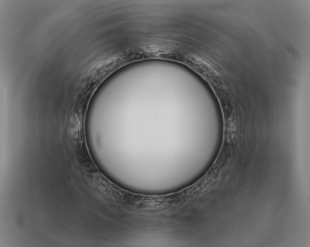 X0000115110917200911101602