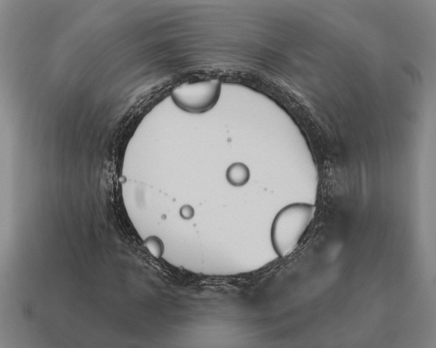 X0000115110918200911101602