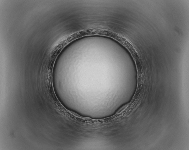 X0000115110919200911101602