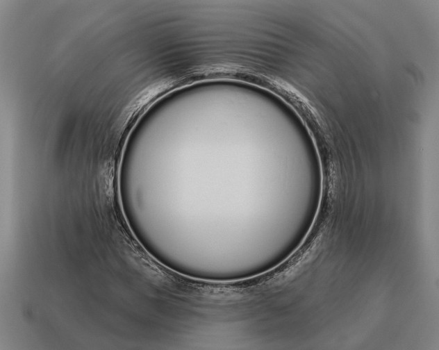 X0000115110921200911101602