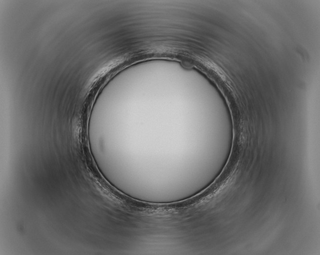 X0000115110922200911101602