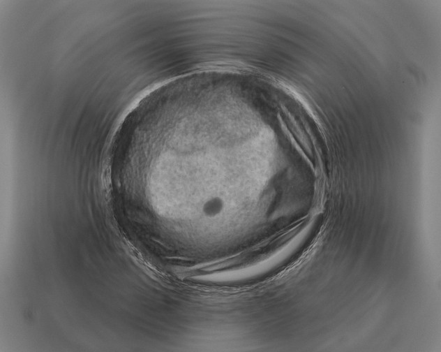 X0000115110923200911101602