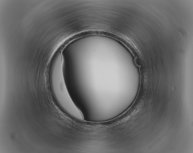 X0000115110926200911101602
