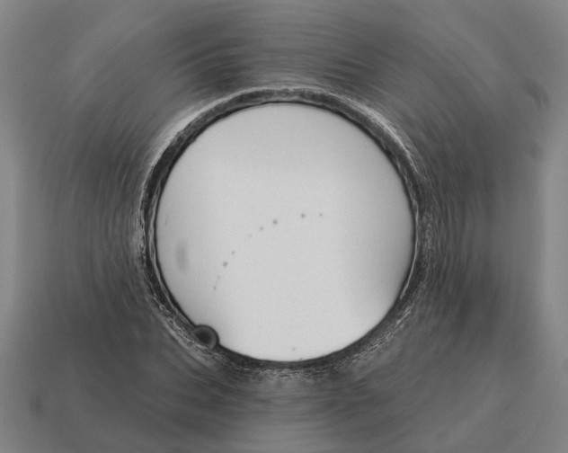 X0000115110927200911101602