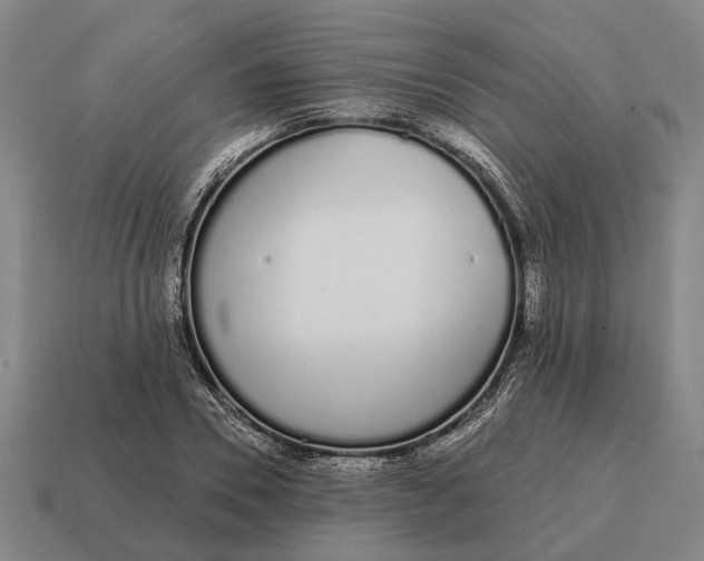 X0000115110930200911101602
