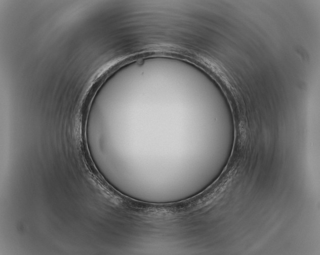 X0000115110931200911101602