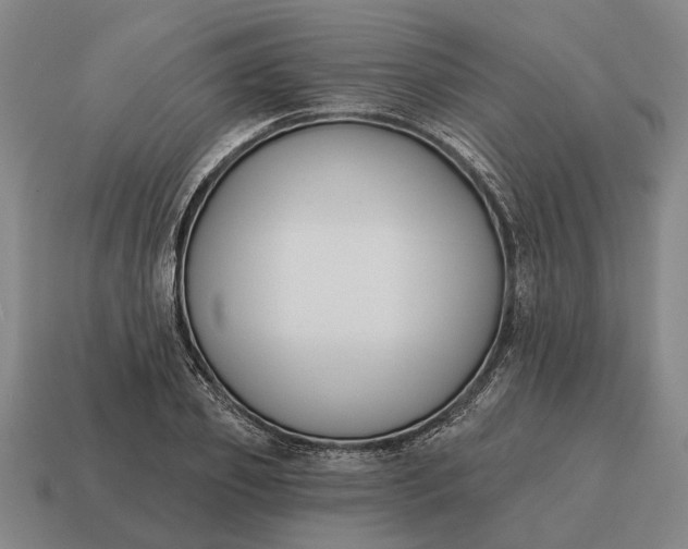 X0000115110933200911101602