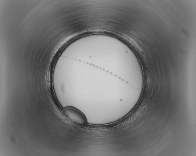 X0000115110934200911101602