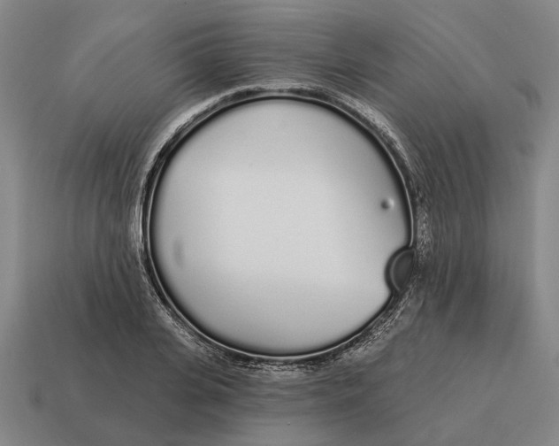 X0000115110935200911101602