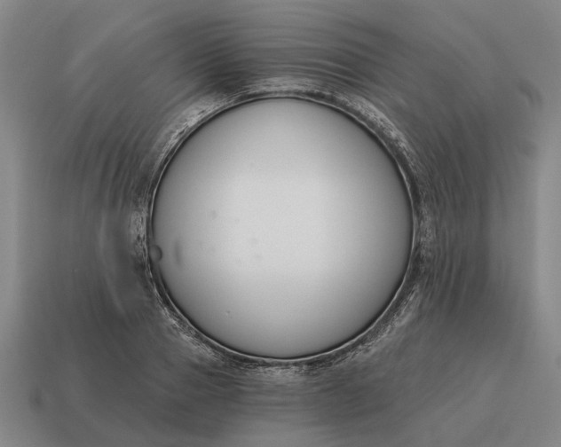 X0000115110937200911101602