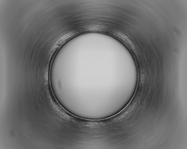 X0000115110938200911101602