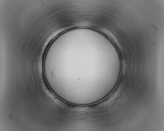X0000115110939200911101602