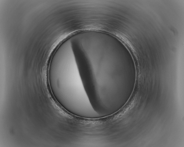 X0000115110941200911101602