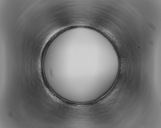 X0000115110942200911101602
