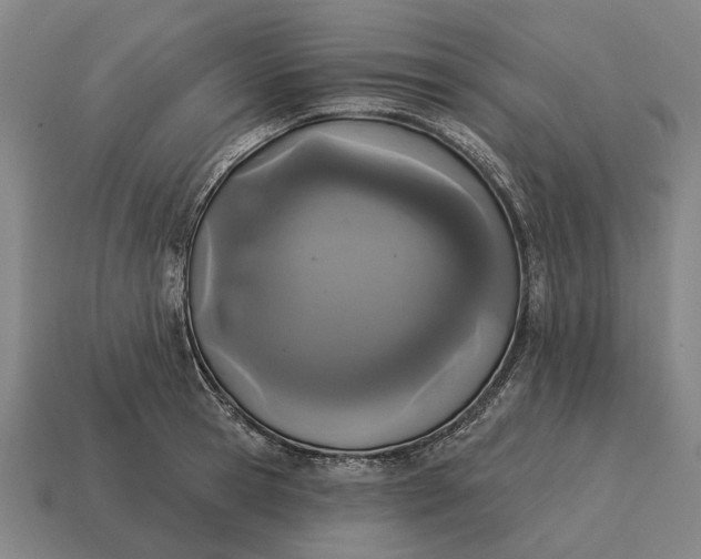 X0000115110945200911101602