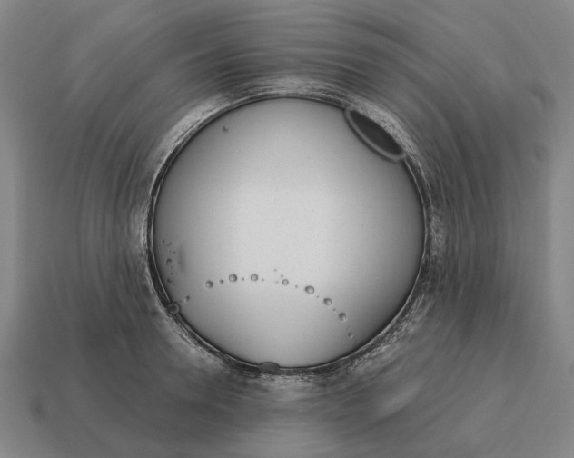 X0000115110946200911101603