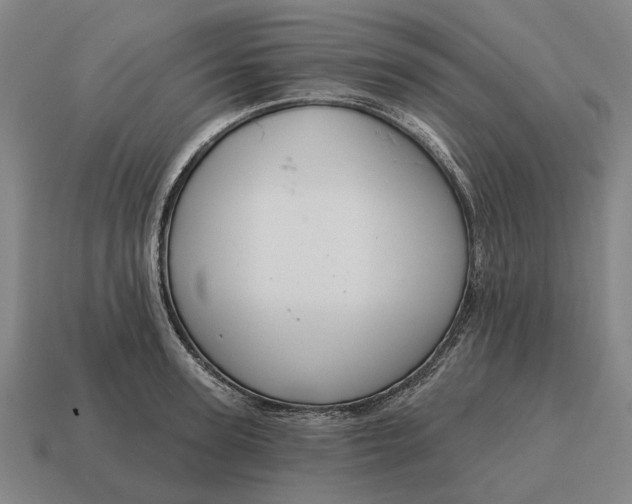 X0000115110947200911101603