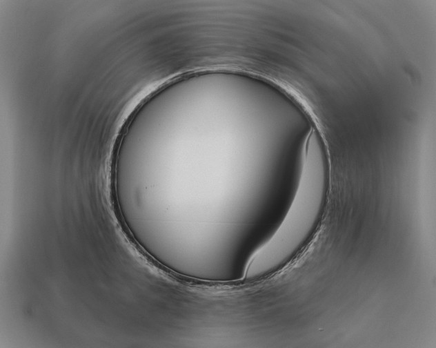 X0000115110949200911101603
