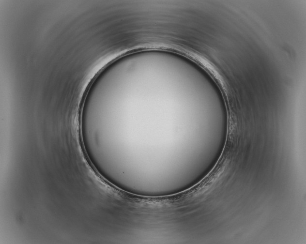X0000115110951200911101603