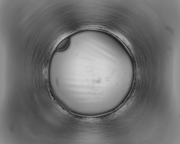 X0000115110953200911101603