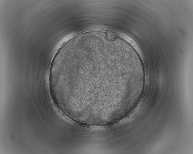X0000115110954200911101603