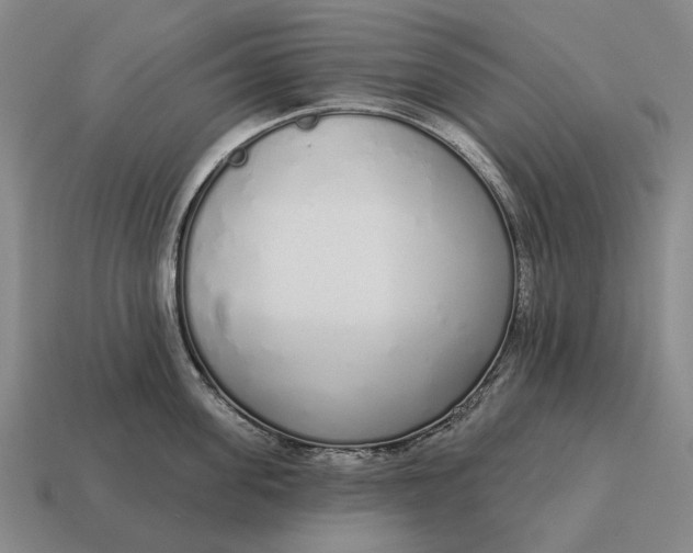 X0000115110955200911101603