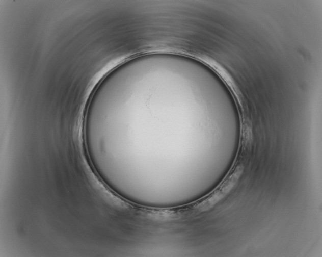 X0000115110957200911101603