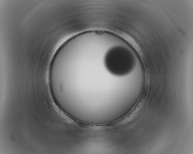 X0000115110958200911101603