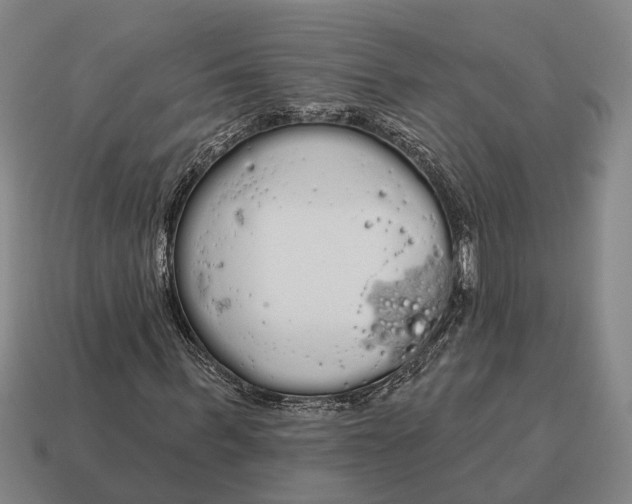 X0000115110963200911101602