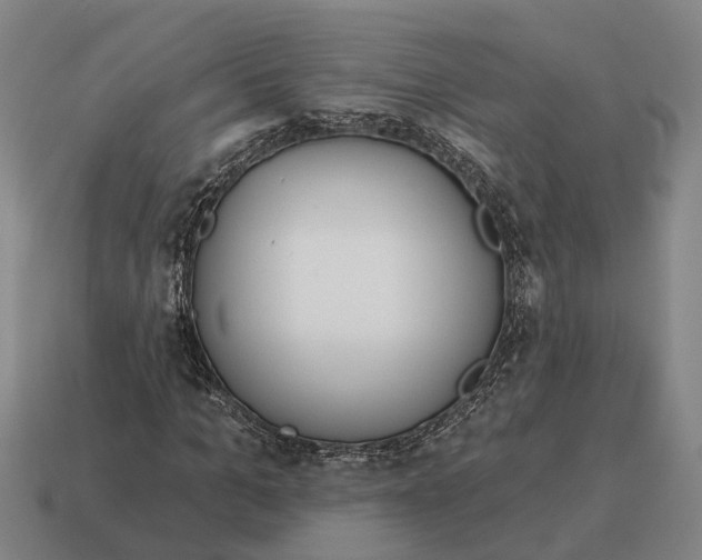 X0000115110965200911101602