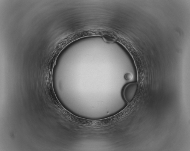 X0000115110966200911101602